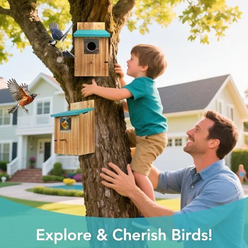 2 Pack Bird Houses for Outside, Cedar Outdoor Garden Bluebird House
