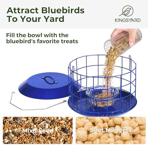 Kingsyard Bluebird Feeders for Outdoors Hanging