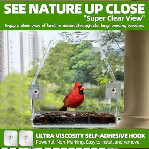 WENMIXER Window Bird Feeder with Non-Marking Self-Adhesive Hooks