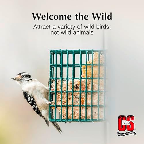 C&S Hot Pepper Delight No Melt Suet Dough, Suet Cakes for Wild Birds