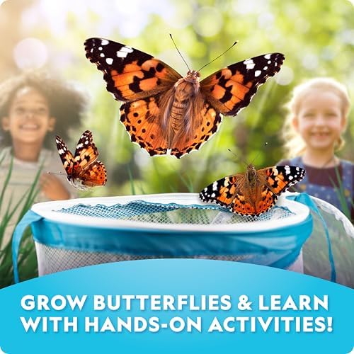 National Geographic Ultimate Butterfly Growing Kit - Butterfly Activity Kit with Voucher for 5 Live Caterpillars, Butterfly Cage, Butterfly Feeder