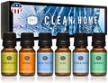 P&J Fragrance Oil Clean Home Set | Lemongrass, Fresh Cotton, Clean & Fresh, Aloe, Bamboo, Orange Candle Scents for Candle Making, Freshie Scent, Soap Making Supplies, Diffuser Oil Scents