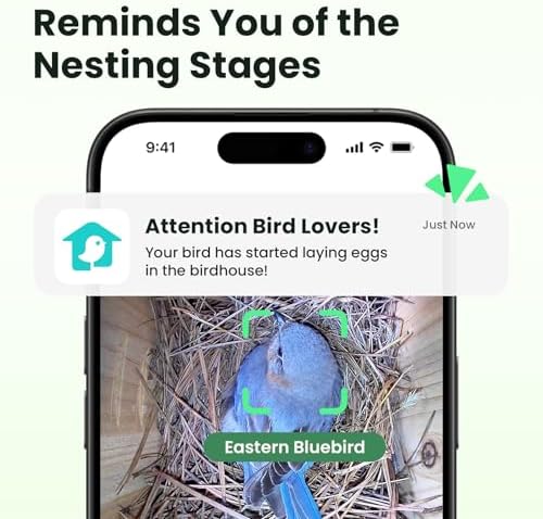 Birdfy Bird House with Camera & Metal Cladding, Lifetime Free AI Bird ID