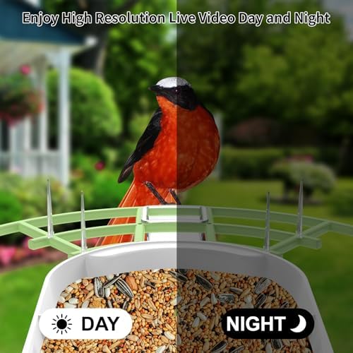 Bird Feeder with Camera,Smart AI Birds Breed Recognition,Birds Motion Detection with Real-Time Notice,Auto Capture Bird Watching WiFi Camera,Solar-Powered Outdoor Charging Bird House,Ideal Gifts,Green