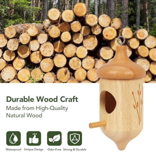 Hummingbird House, Small Hummingbird Houses for Outside