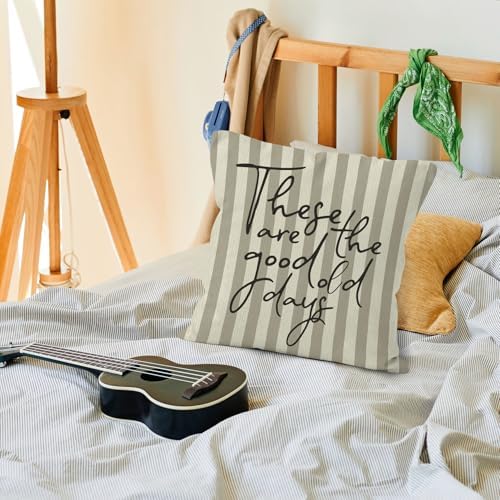 Inspirational These are the Good Old Days Throw Pillow Cover 18x18, Positive Motivational Decorative Pillow Covers for Home Living Room Bedroom, Neutral Striped Accent Pillows Cover Pillowcases