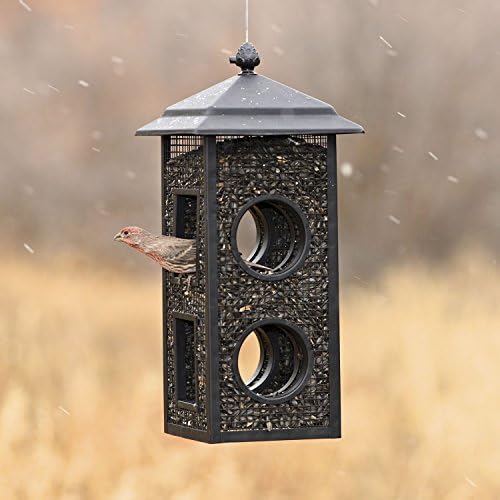 Perky-Pet Fly-Thru Wild Bird Feeder, 2 lb Seed Capacity (Pack of 2)