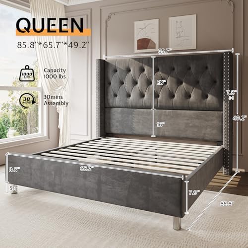 Jocisland Queen Bed Frame with Headboard, 49.2" Velvet Tufted, Gray