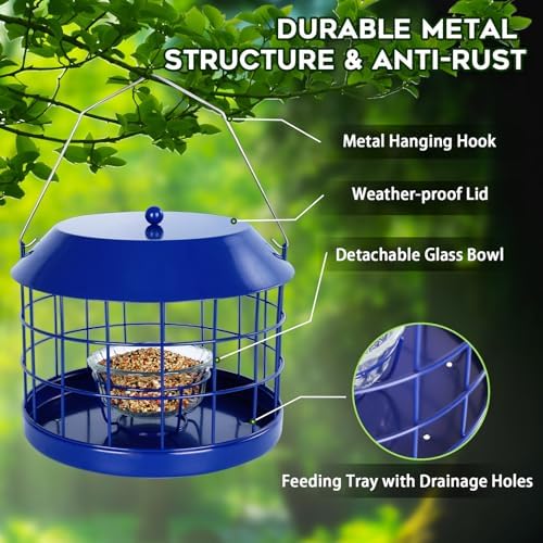 Gbekery Bluebird Feeder for Mealworms with Glass Bowl for Outdoors, Blue