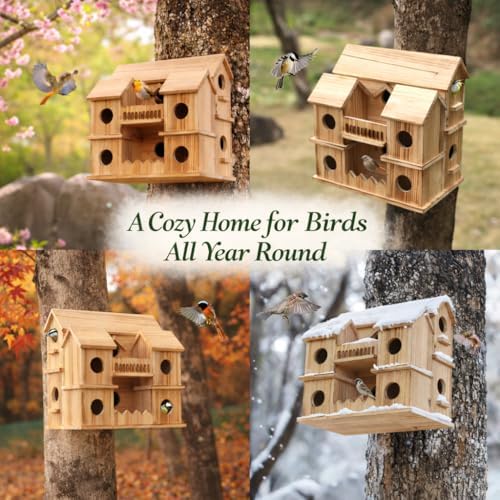 10-Hole Cedar Birdhouse Cottage for Outside, Small Bird House