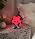 YR YRHH-PET Positive Soccer Night Light, Boy Sports Lamp, Cute Room Décor