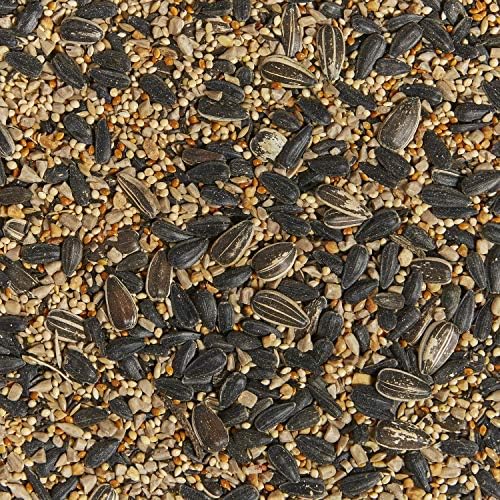 Kaytee Western Regional Wild Bird Seed, 7 lb (Pack of 2)