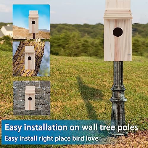 Wren Bird Houses for Outside,Cedar Swallow Wren Hummingbird Houses,DIY,1Pcs