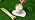 Citronella Candles Outdoor - 6 Pack Soy Wax Citronella Candles