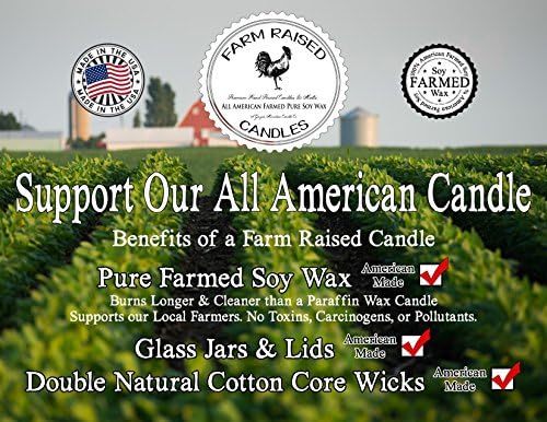 Cucumber Melon Wax Melts, 2 Pack Soy Cubes
