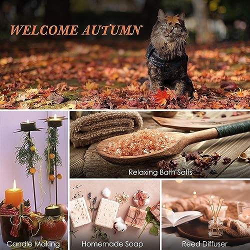 SALUBRITO Fall Fragrance Oils Set, Autumn Essential Oil for Diffuser, Candle Making, Aromatherapy Oils Gift - Cinnamon, Pumpkin Spice, Vanilla, Snickerdoodle, Spiced Cider, Nutmeg, 6x10ml