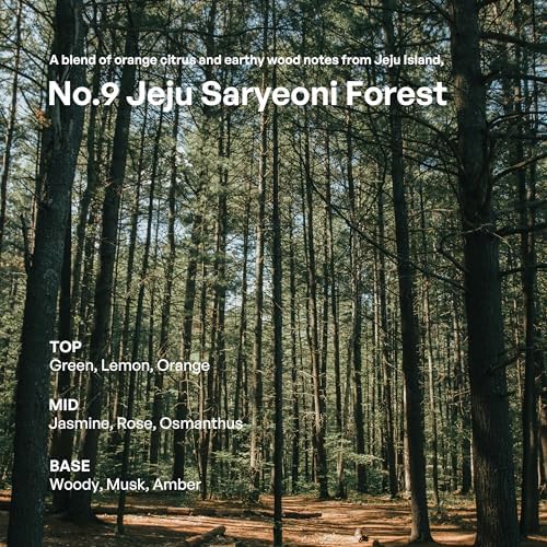 HETRAS Premium Reed Diffuser Jeju Saryeoni Forest 2Pack