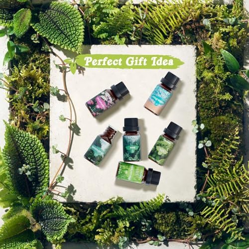 SALKING Nature Fragrance Oils, Essential Oils Set for Diffuser for Home