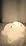 FAMIDUO Sleepy Snoring Bear Night Light,Novelty Nursery Nightlight for Kids