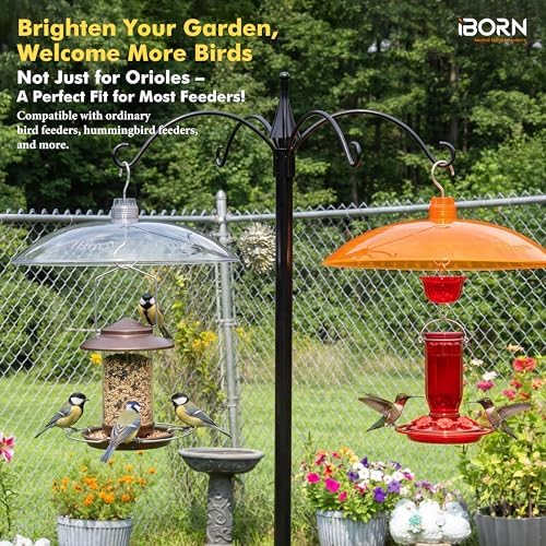 iBorn 13-inch Sunshade Cover for Oriole Feeder, Weather Guard Sun Shade Cover, for Hanging Oriole Nectar Feeder for Outdoors Rain Guard, Chew Proof Polycarbonate, Pack of 2, Orange