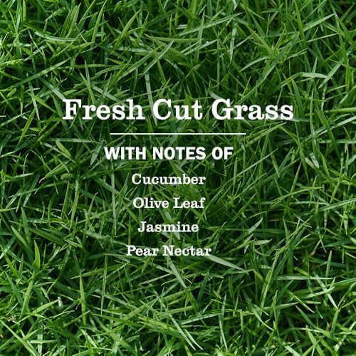 MRS. MEYER'S CLEAN DAY Scented Oil, Fresh Cut Grass, 1 Warmer and Refill