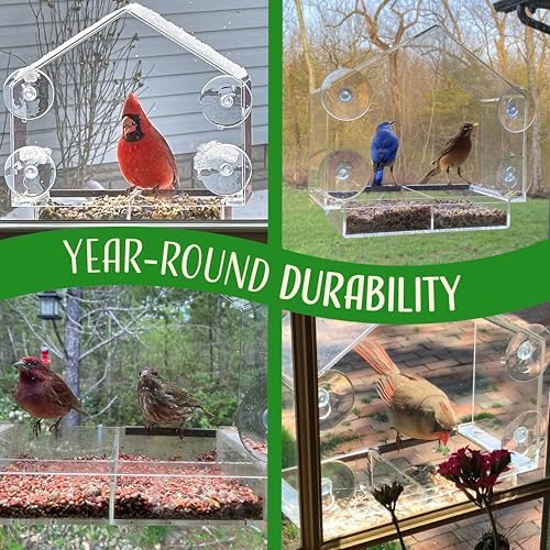 Window Bird Feeder with Strong Suction Cups Clear Transparent Bird House