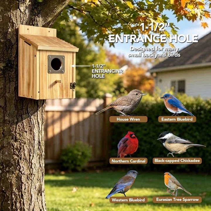 2 Pack Bird Houses for Outside, 1-1/2" Entrance Cedar Birdhouse