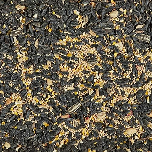 Kaytee Wild Bird Seed, 7 Pound | Songbird Blend | Pack of 2