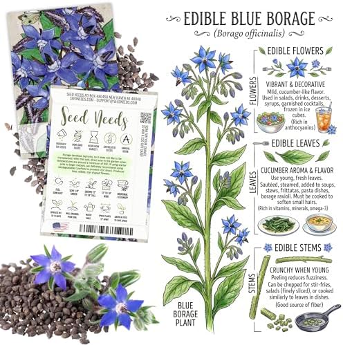 Seed Needs Edible Flower Seeds Variety Pack of 7 Wildflowers for Garnishing
