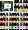 SACATR 40 Pcs Natural Essential Oil Sets,Fragrance Oil Scent (40 * 10ML)