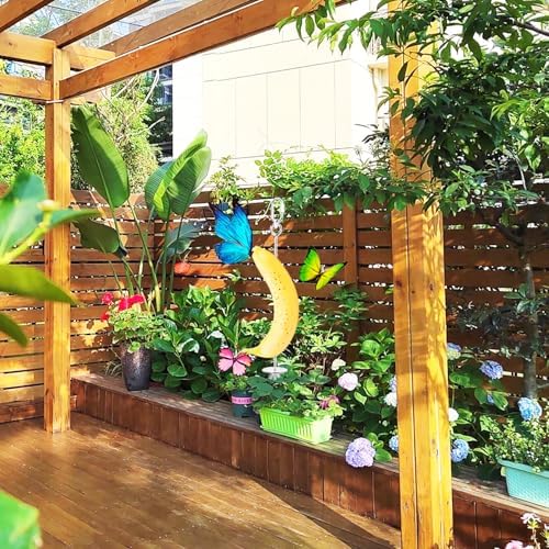 3 Pack Butterfly Banana Feeder Outdoor Banana Holder Set