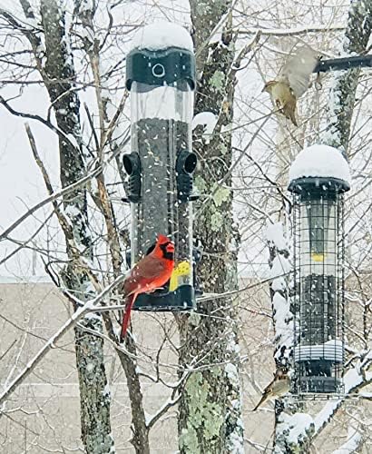 Brome Mega 600 Wild Bird Feeder