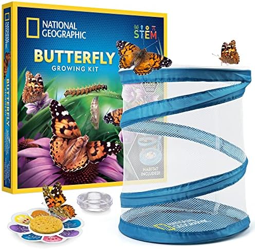 National Geographic Butterfly Growing Kit for Kids Nature Activity