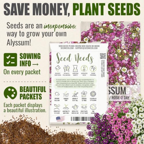 Seed Needs Alyssum Seeds Variety Pack of 4 Groundcover Flowers to Plant