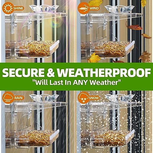 WENMIXER Window Bird Feeder with Non-Marking Self-Adhesive Hooks