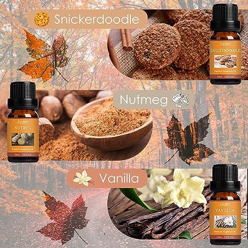 SALUBRITO Fall Fragrance Oils Set, Autumn Essential Oil for Diffuser, Candle Making, Aromatherapy Oils Gift - Cinnamon, Pumpkin Spice, Vanilla, Snickerdoodle, Spiced Cider, Nutmeg, 6x10ml