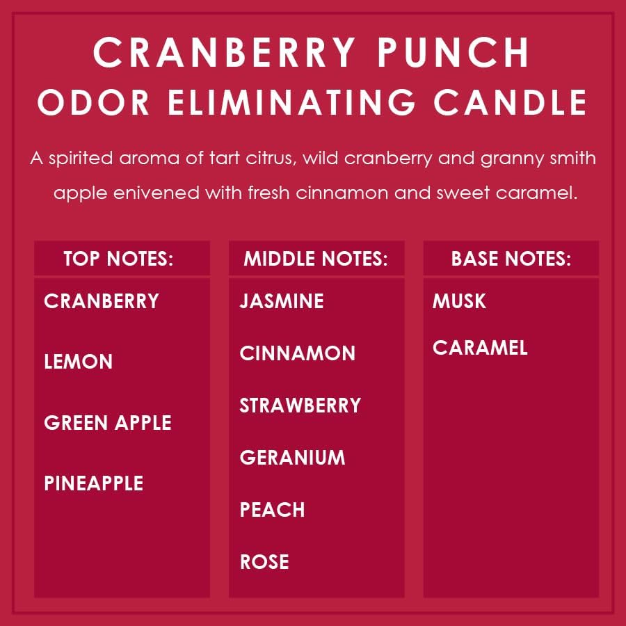 Cranberry Punch Odor Eliminating Highly Fragranced Candle - Eliminates 95% of Pet, Smoke, Food, and Other Smells Quickly - Up to 80 Hour Burn time - 12 Ounce Premium Soy Blend
