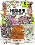 Seed Needs Milkweed Seeds Variety Pack of 5 Perennial Flowers for Monarchs