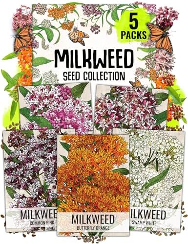 Seed Needs Milkweed Seeds Variety Pack of 5 Perennial Flowers for Monarchs