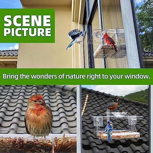 WENMIXER Window Bird Feeder with Non-Marking Self-Adhesive Hooks