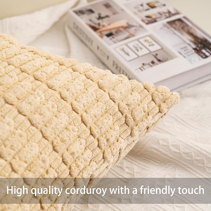 Aegero Pack of 2 Corduroy Decorative Throw Pillow Covers 22x22 Inch - Image 2