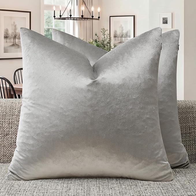 GIGIZAZA Silver Grey Velvet Throw Pillow Covers 24x24 Pack of 2 | Decorative by GIGIZAZAFocusingonhomedecoration
