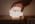 Amaredom DoDo Duck Night Light, Cute Silicone Duck Lamp for Baby Nursery